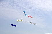 EUROCUP STACK 2011 CERVIA00298